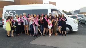 Minibus Hire Birmingham  for Party          